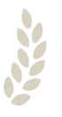 files/Screenshot__1_-removebg-preview.png