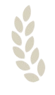 files/image_2025_03_27T06_43_19_098Z.png